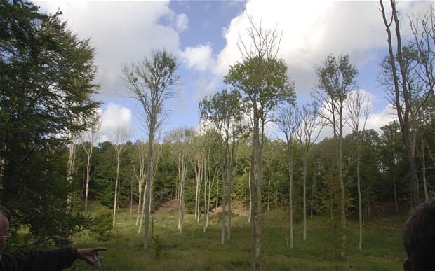 Photo: Courtesy of The Danish Nature Agency/HEATHCLIFF O'MALLEY